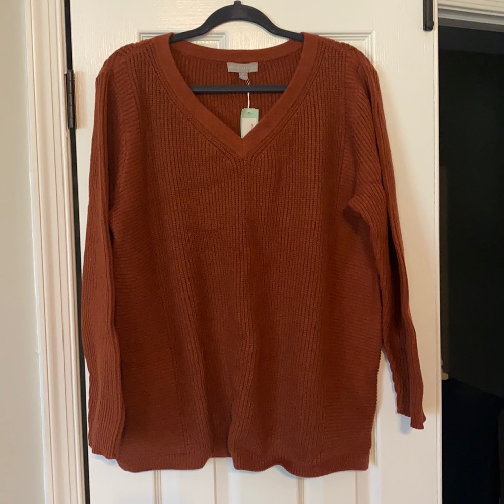 Rust v neck sweater